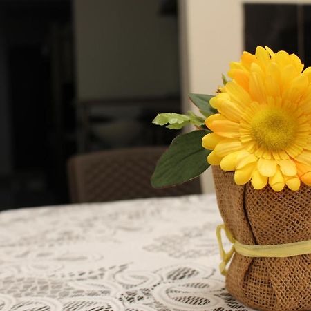 Apartamentos Excelente Ubicacion 麦德林 外观 照片
