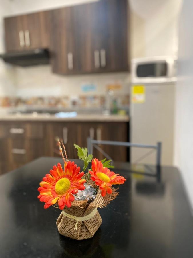 Apartamentos Excelente Ubicacion 麦德林 外观 照片